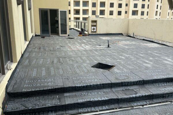Roof Elevation